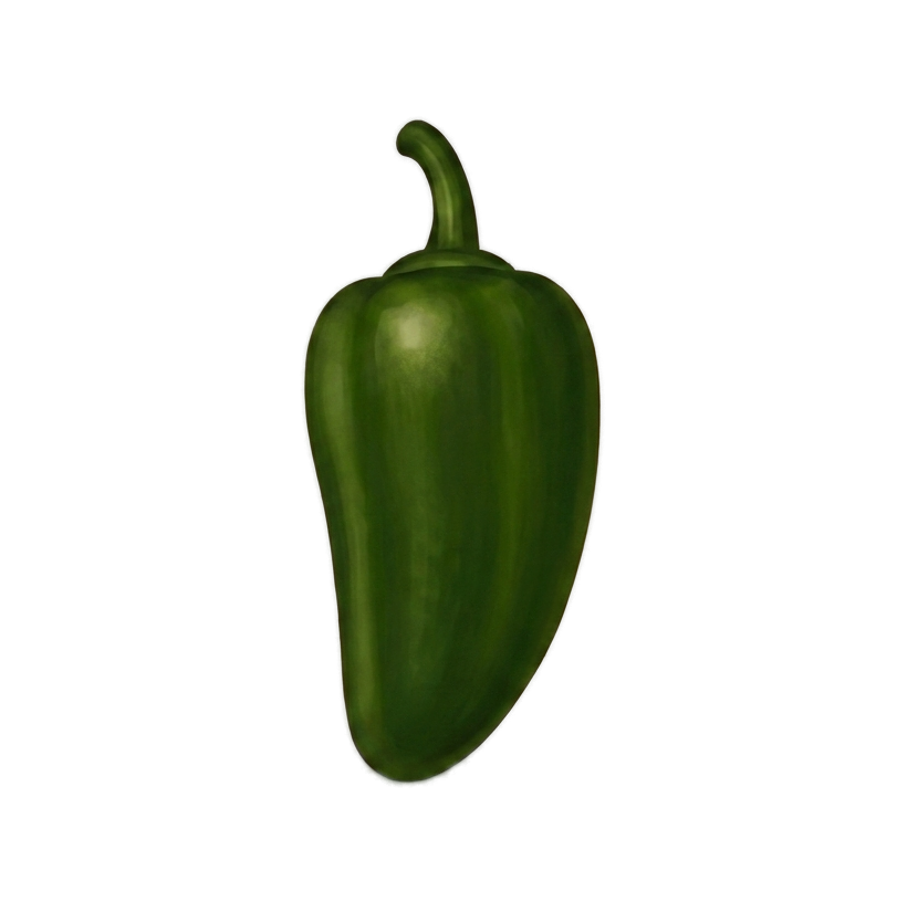 Fresh green jalapeño pepper