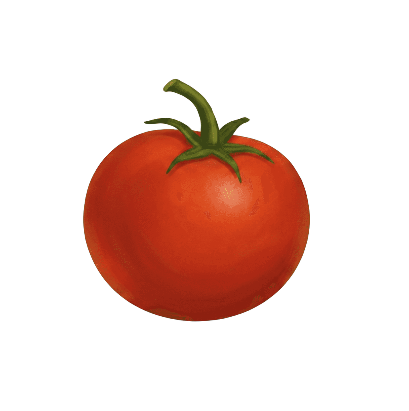 Fresh ripe tomato